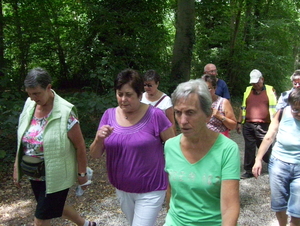 Wandeling langs Bonheiden - 23 juli 2015