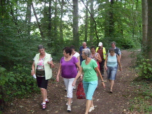 Wandeling langs Bonheiden - 23 juli 2015