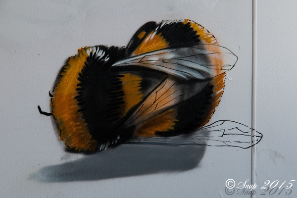 Ronse verpleegscoolIMG_0909-0909