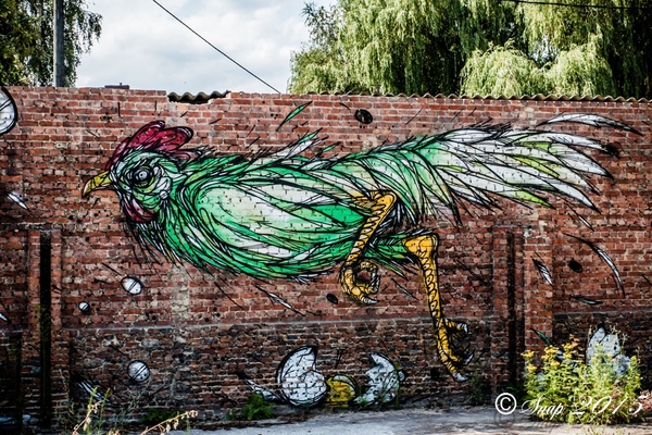Graffiti boom-5006