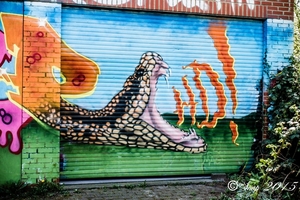 graffiti doel 2015-6243