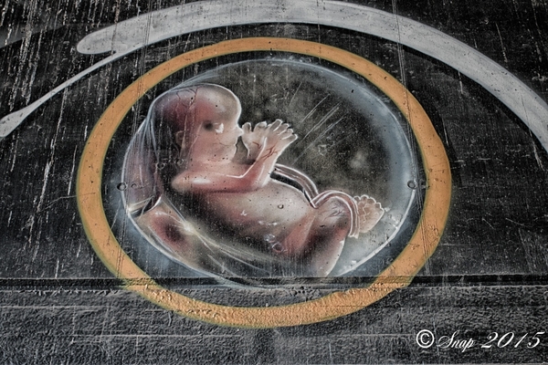 graffti antwerpen 2015-6