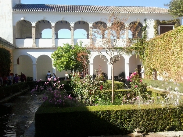 54 Generaliffe 24-10-2014