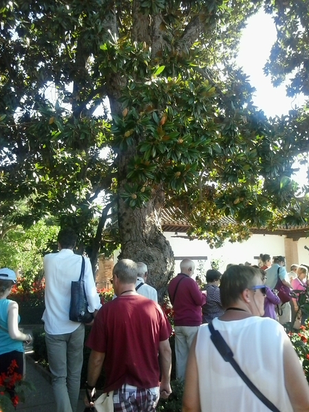 58 Generaliffe-lage tuinen  24-10-2014