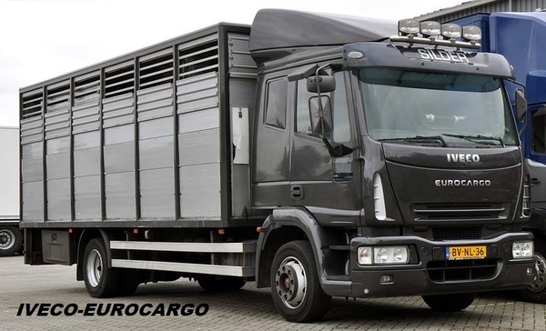IVECO-EUROCARGO