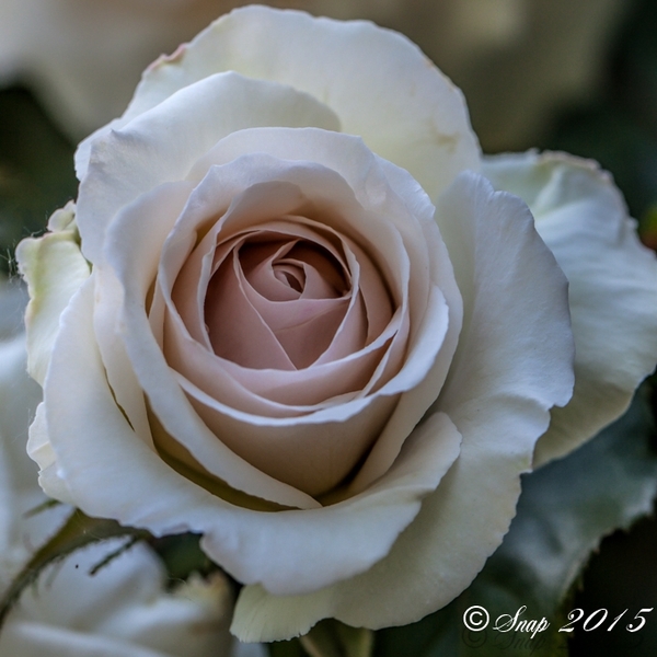 _MG_0689-Edit