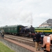 Maldegem-136