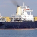 MSC LEA