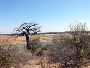 02 Zambia-Namibië (10)