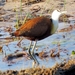 03 Mazambala eiland (15)