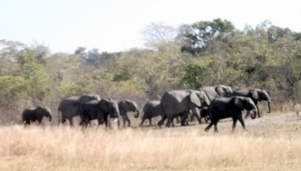 05 Bwabwata national park (6)