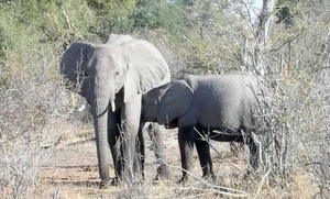 05 Bwabwata national park (19)