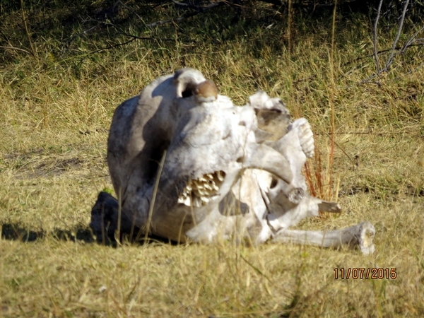 05 Bwabwata national park (36)