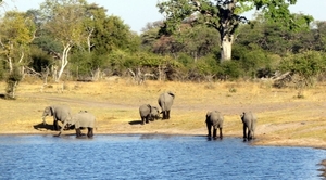 05 Bwabwata national park (45)