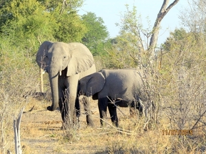 05 Bwabwata national park (46)