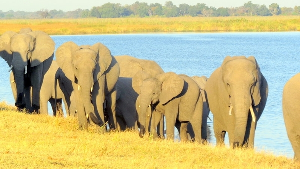 05 Bwabwata national park (53)