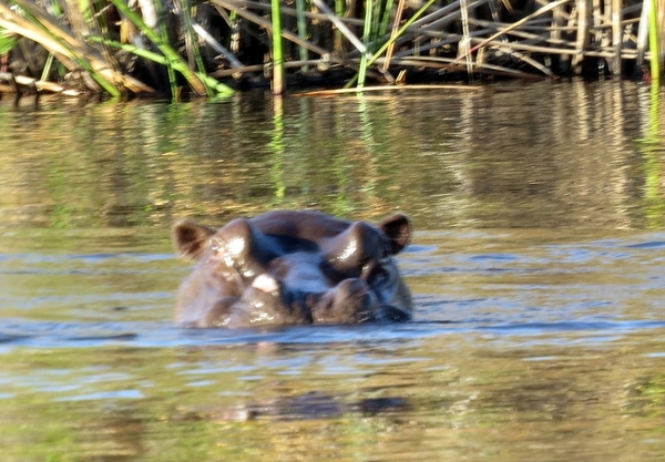 06  Namibië-Botswana (12)