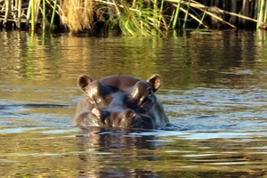 06  Namibië-Botswana (13)