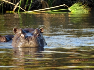 06  Namibië-Botswana (14)