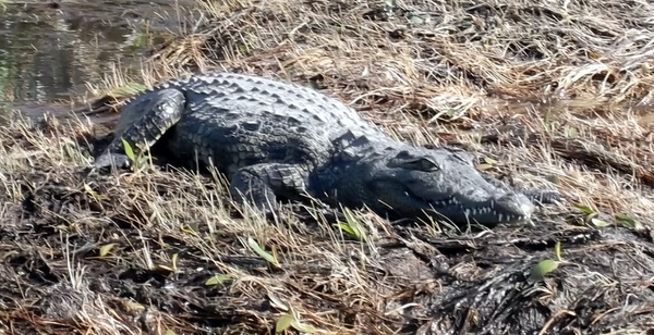 06 Namibië-Botswana (17)