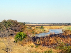 06 Namibië-Botswana (20)