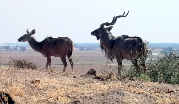 06 Namibië-Botswana (21)