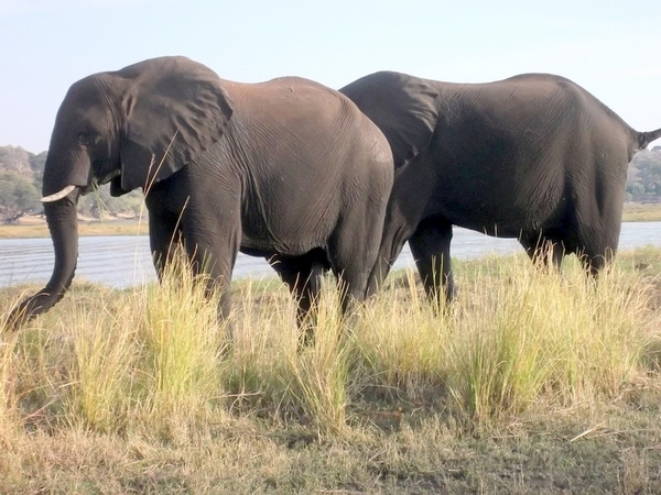 06 Namibië-Botswana (32)