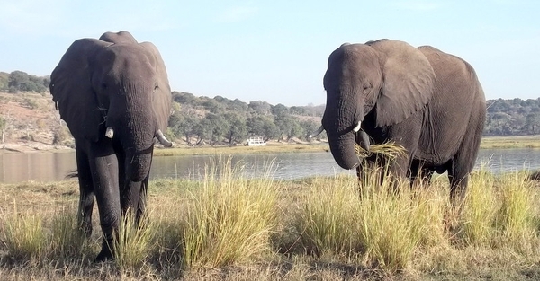 06 Namibië-Botswana (35)