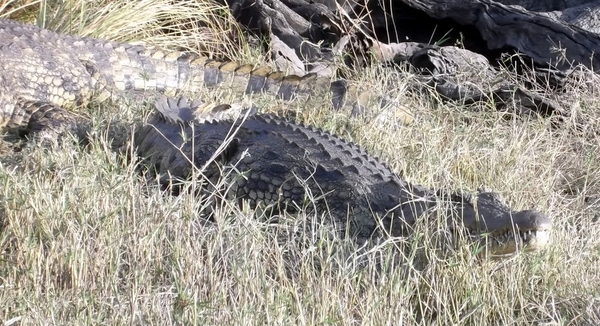 06 Namibië-Botswana (38)