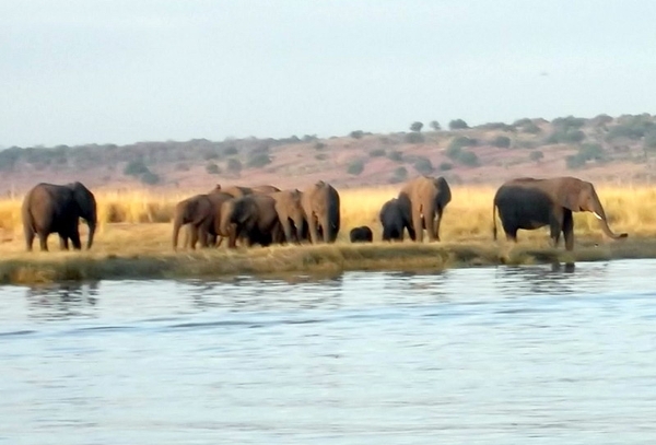 06 Namibië-Botswana (48)