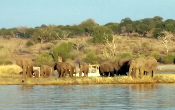06 Namibië-Botswana (49)