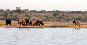 06 Namibië-Botswana (50)