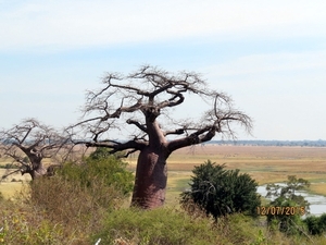 06 Namibië-Botswana (56)