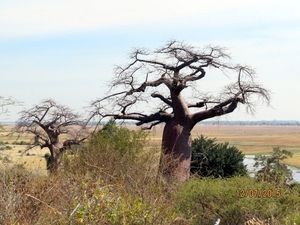 06 Namibië-Botswana (58)