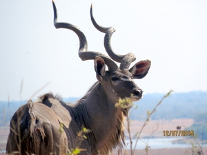 06 Namibië-Botswana (60)