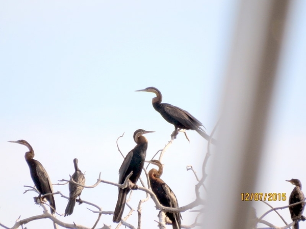 06 Namibië-Botswana (61)