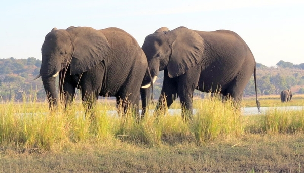 06 Namibië-Botswana (71)