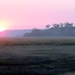 07 Chobe national park (3)