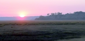 07 Chobe national park (3)