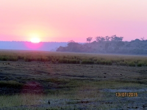 07 Chobe national park (4)