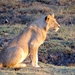 07 Chobe national park (14)