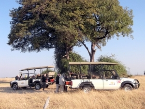 07 Chobe national park (25)