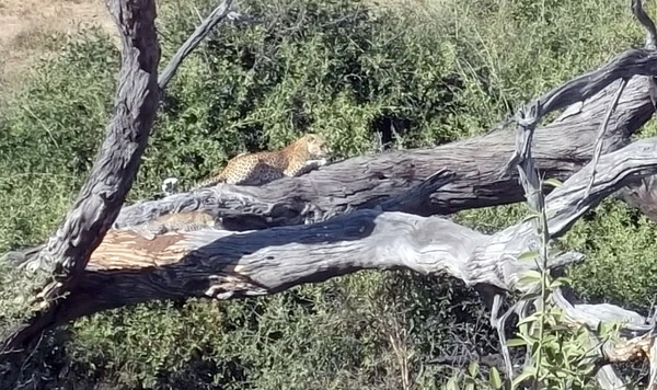 07 Chobe national park (38)