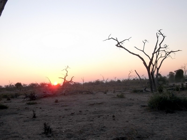 07 Chobe national park (108)