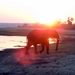 07 Chobe national park (110)