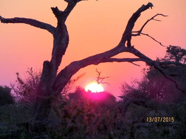 07 Chobe national park (113)