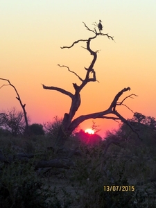 07 Chobe national park (114)