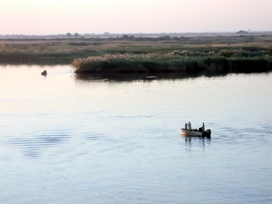 07 Chobe national park (127)