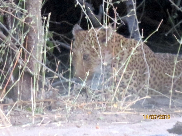 07 Chobe national park (134)