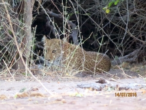 07 Chobe national park (138)